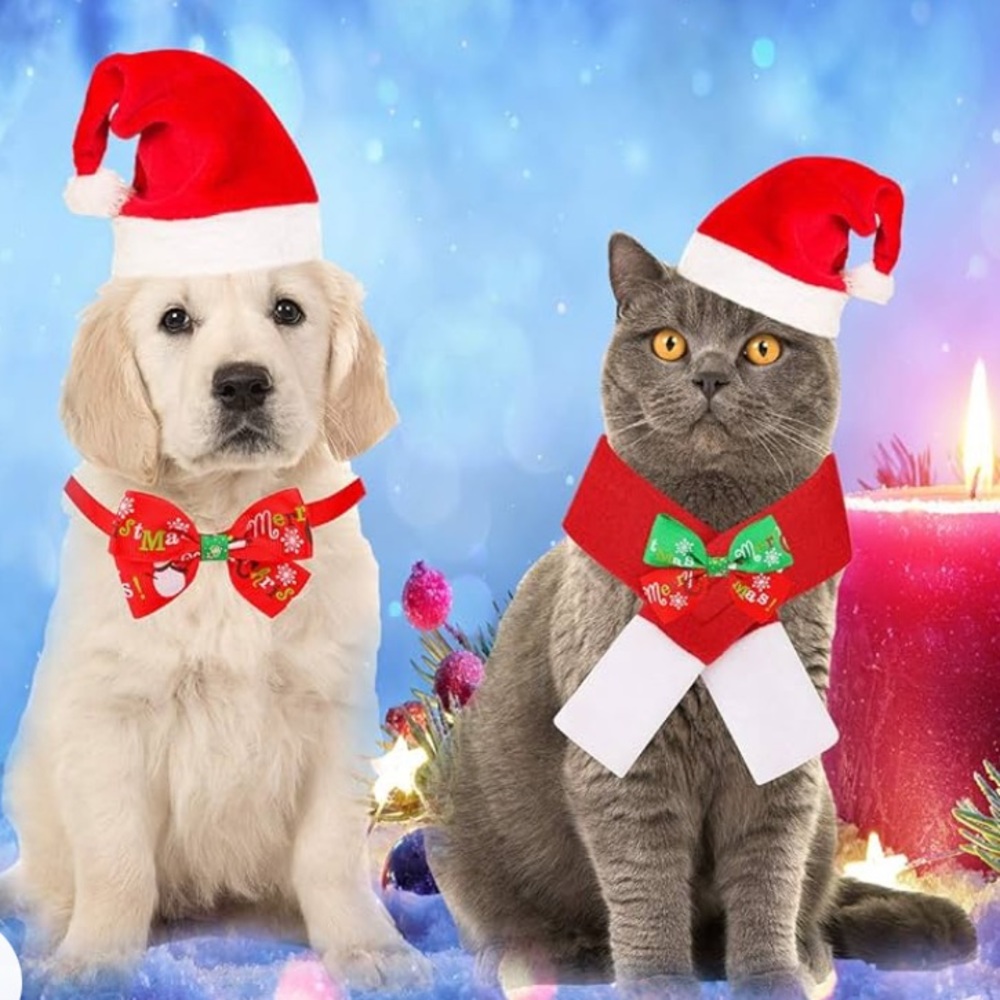 pet christmas wear